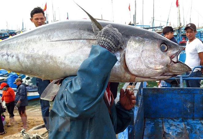 Personnel training – key to marine economy sustainably ảnh 1
