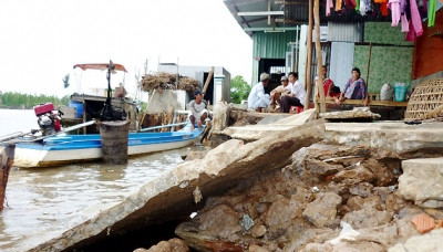 Severe erosion along Ca Mau coastline ảnh 1