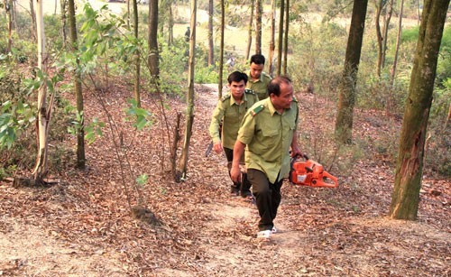 Ministry orders expanded forest-fire protection in dry season ảnh 1