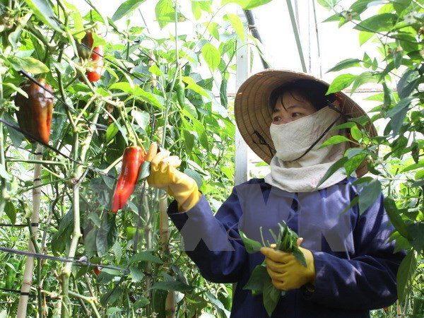 Women’s economic empowerment spotlighted at UN discussion ảnh 1