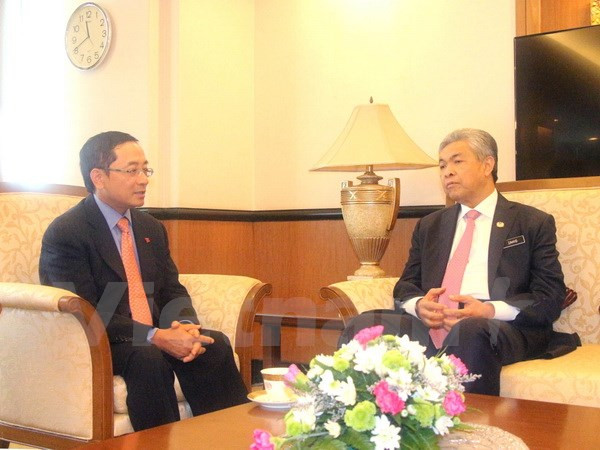 Malaysian Deputy PM highlights cooperation potential with Vietnam ảnh 1