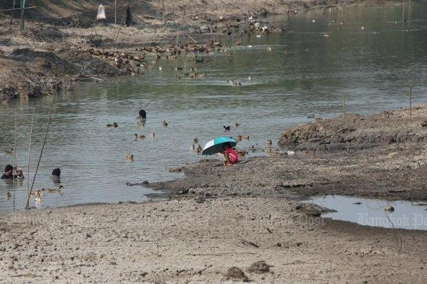 Thailand approves 2.6 bln USD in loans to promote agricultural sector ảnh 1