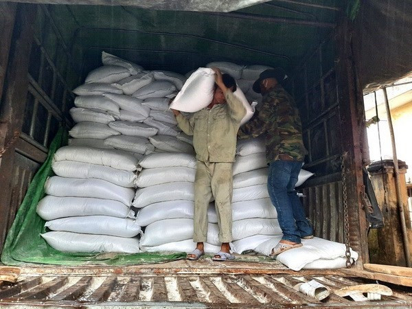 Over 3,300 tonnes of rice allocated for localities during lean season ảnh 1 Over 3,300 tonnes of rice allocated for localities during lean season ảnh 1