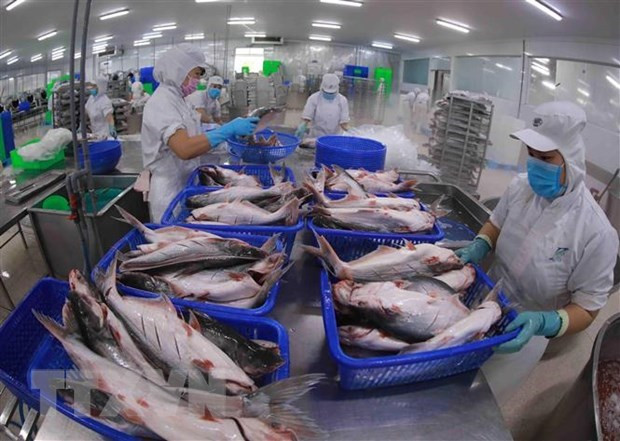 US’s anti-dumping duty review on Vietnam’s tra fish shows positive results ảnh 1