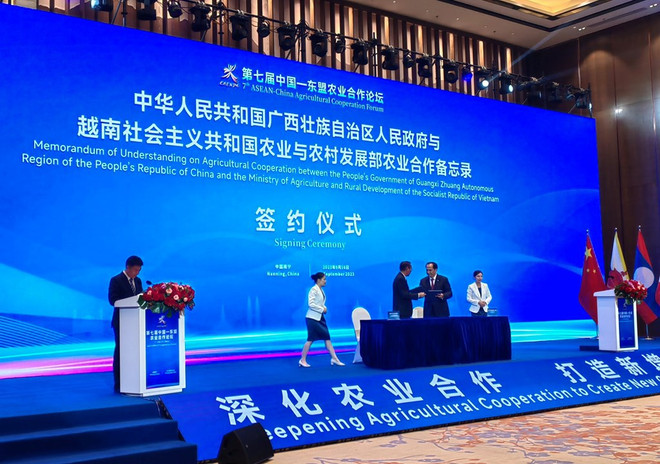 Vietnam, China’s Guangxi sign MoU on agricultural cooperation ảnh 1 Vietnam, China’s Guangxi sign MoU on agricultural cooperation ảnh 1