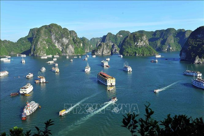 Ha Long Bay-Cat Ba Archipelago recognised as world natural heritage ảnh 1