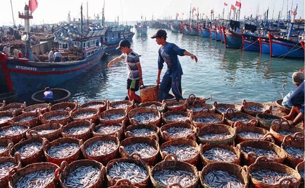 Binh Thuan strictly deals IUU fishing-related violations ảnh 1