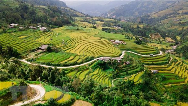 Travel programme promotes Hoang Su Phi terraced fields ảnh 1 Travel programme promotes Hoang Su Phi terraced fields ảnh 1