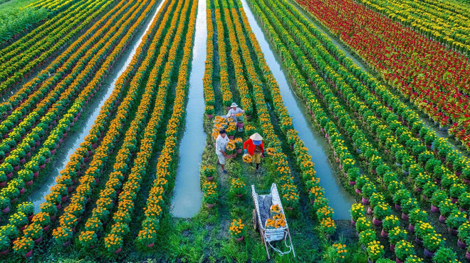 Development strategy of rural occupations and economic development approved ảnh 1 Development strategy of rural occupations and economic development approved ảnh 1