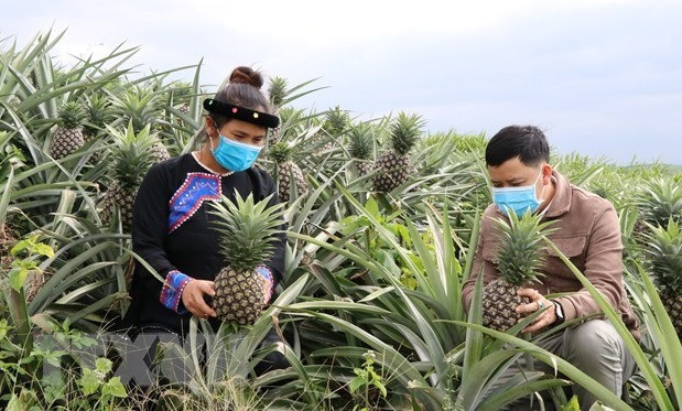 WB, Japan support greater access to legal services for the poor in Vietnam ảnh 1 WB, Japan support greater access to legal services for the poor in Vietnam ảnh 1