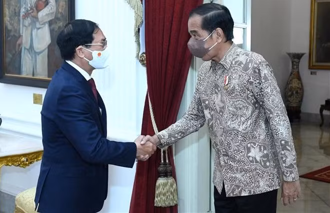 Vietnamese FM meets with Indonesian President ảnh 1