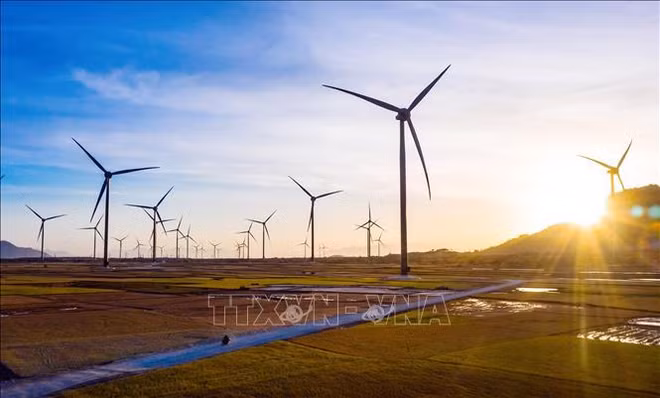 Tasks, solutions set to fulfill COP26 commitments ảnh 1