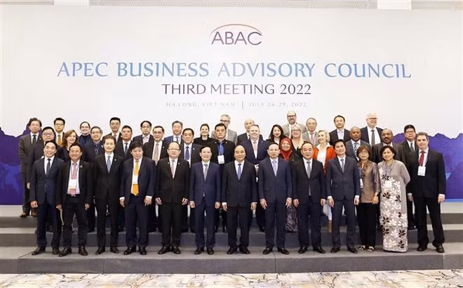 Vietnam always welcomes APEC investors: President ảnh 1