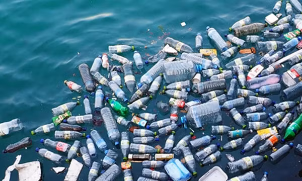 Press award on ocean plastic pollution reduction launched ảnh 1