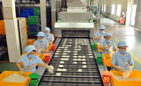 Vietnamese businesses pushed to save energy ảnh 1