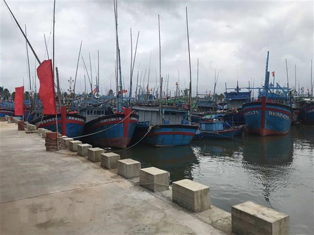 Vietnam to have 184 fishing ports by 2050: draft plan ảnh 1