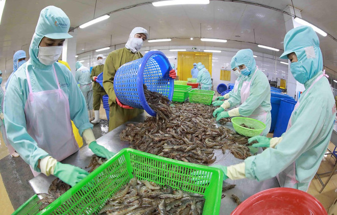 Vietnam’s seafood exports enjoy strong surge despite challenges ảnh 1 Vietnam’s seafood exports enjoy strong surge despite challenges ảnh 1