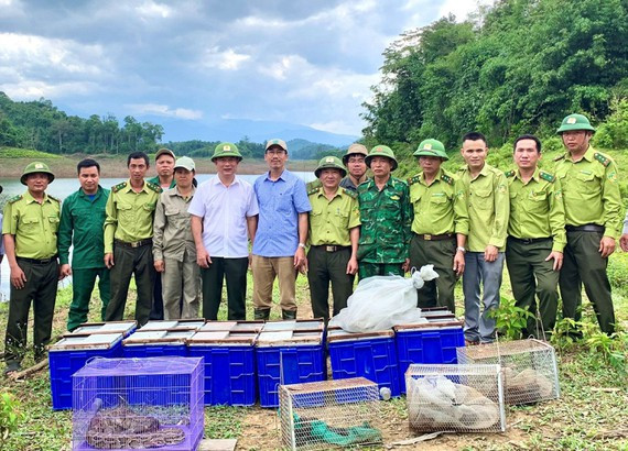 56 wild animals released to nature ảnh 1 56 wild animals released to nature ảnh 1