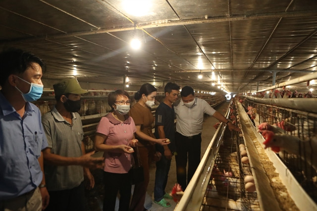 Hanoi builds safe agricultural production areas ảnh 1