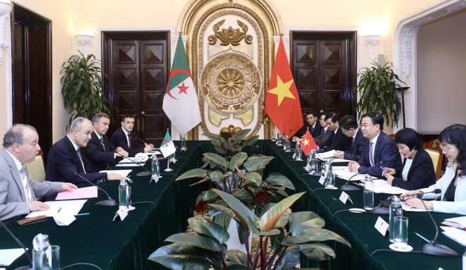 Vietnam, Algeria agree on measures to foster cooperation ảnh 1 Vietnam, Algeria agree on measures to foster cooperation ảnh 1