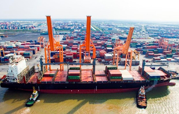 David vs Goliath, Vietnam logistics lags international behemoths ảnh 1