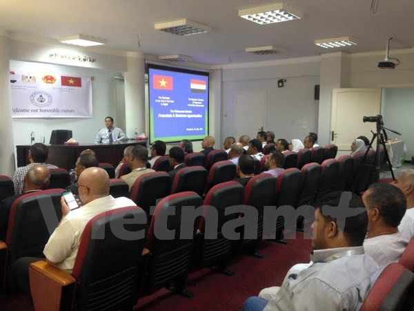 Business opportunities in Vietnam introduced to Egypt ảnh 1 Business opportunities in Vietnam introduced to Egypt ảnh 1
