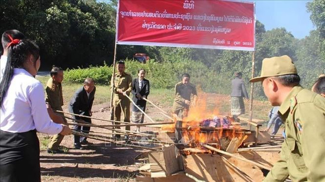 Laos destroys tens of tonnes of drugs ảnh 1 Laos destroys tens of tonnes of drugs ảnh 1