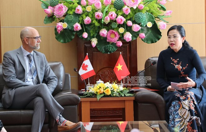 Canada promotes cooperation, investment in Thai Nguyen province ảnh 1 Canada promotes cooperation, investment in Thai Nguyen province ảnh 1