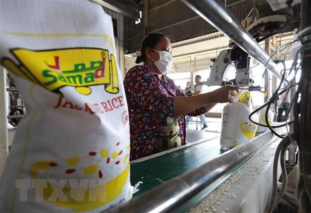 Vietnam to be major source of rice supply to Indonesia ảnh 1