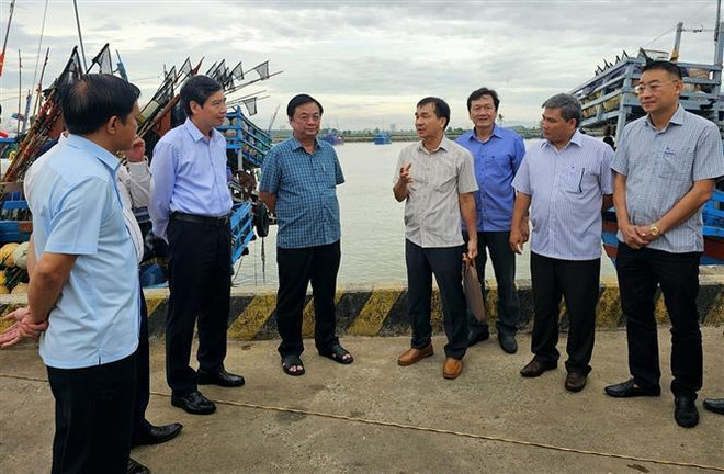 Ministry inspects IUU, disaster prevention in Phu Yen ảnh 2