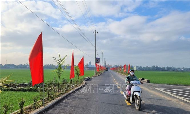 More special mechanisms proposed to speed up national target programmes ảnh 2