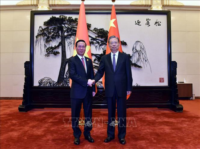 President meets top Chinese legislator in Beijing ảnh 1