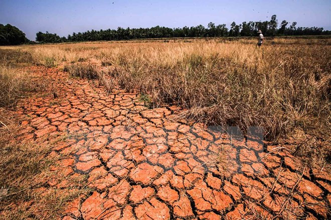 Crippling drought continues in Central, South: experts ảnh 1