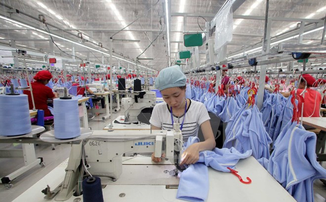 Statistics authority conducts survey on business ảnh 1