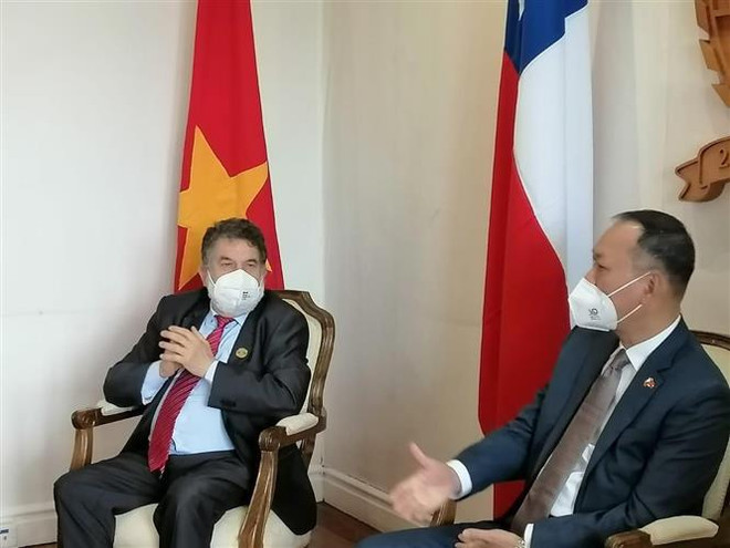 Vietnam seeks strong relations with Chilean region ảnh 1 Vietnam seeks strong relations with Chilean region ảnh 1