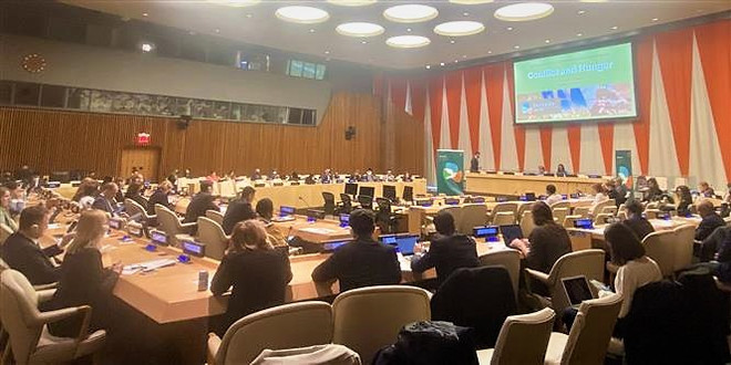 Vietnam calls for strengthened efforts to address conflict-induced hunger ảnh 1 Vietnam calls for strengthened efforts to address conflict-induced hunger ảnh 1