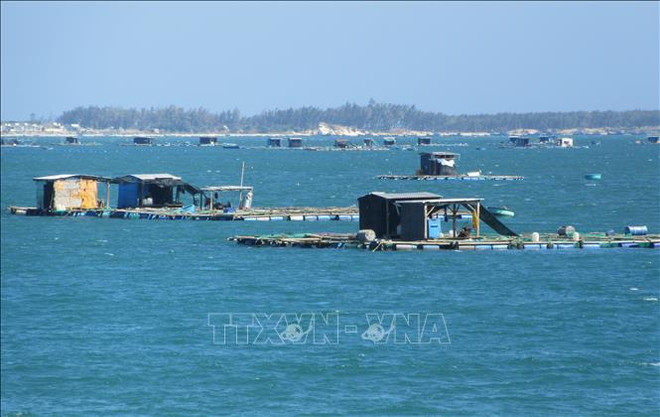 Khanh Hoa eyes sustainable development of industrial seaculture ảnh 1