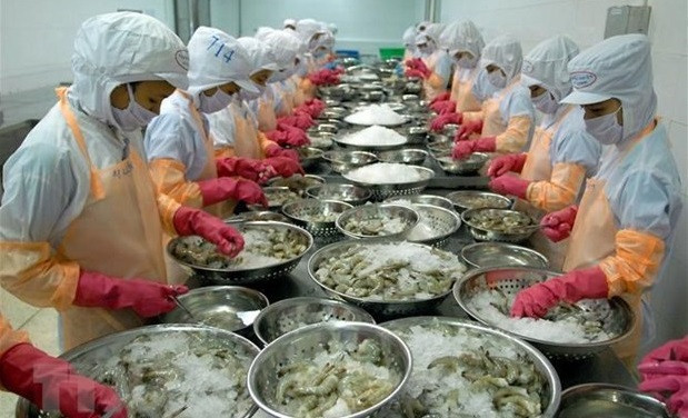 Business matching webinar on seafood products with EU held ảnh 1