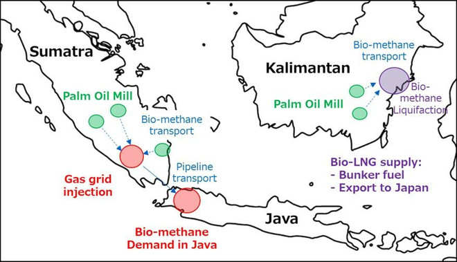 Indonesia to partner with Japan to produce biofuel from palm oil methane ảnh 1