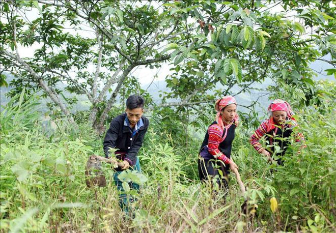 📝 OP-ED: Vietnam saving energy for future generations ảnh 2