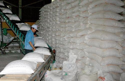 Vietnam expects 45 million tonnes of rice this year ảnh 1