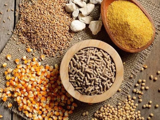 Vietnam spends over 2 billion USD on animal feed, material imports in 5 months ảnh 1