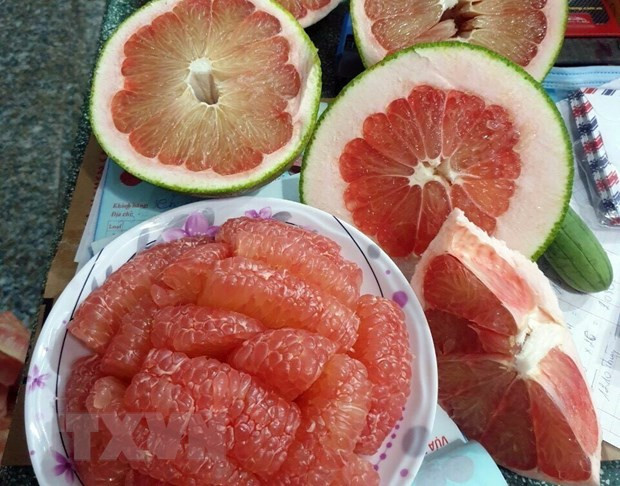 Ninh Thuan's grapefruit receives code to export to US ảnh 1 Ninh Thuan's grapefruit receives code to export to US ảnh 1
