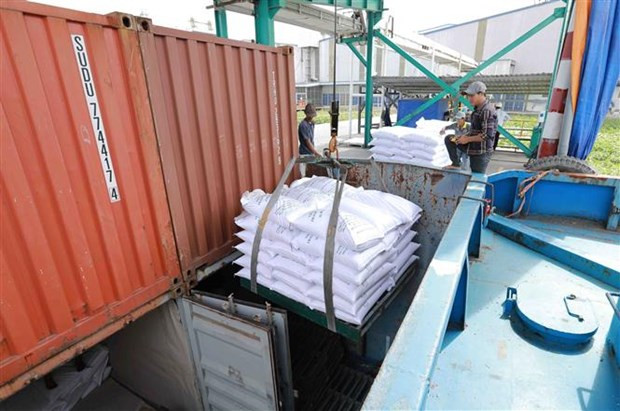 Vietnam to diversify rice export markets ảnh 1