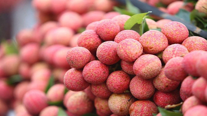 Vietnam’s first official-channel lychee shipment arrives in UK ảnh 1