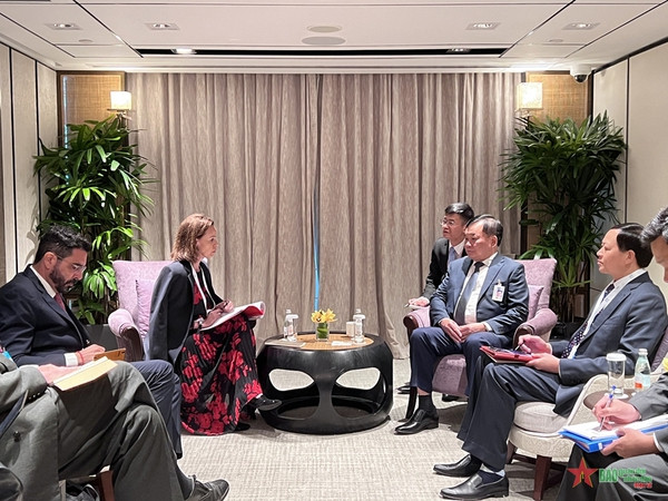 Vietnamese delegation active at 20th Shangri-La Dialogue ảnh 2