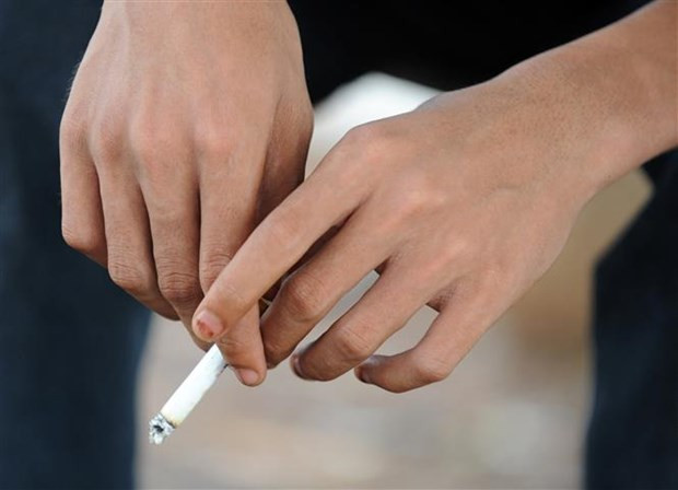Symposium urges youths to quit smoking ảnh 1