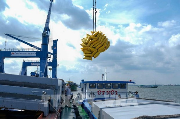 Dutch investors explore opportunities for agriculture, logistics cooperation in Can Tho ảnh 1 Dutch investors explore opportunities for agriculture, logistics cooperation in Can Tho ảnh 1