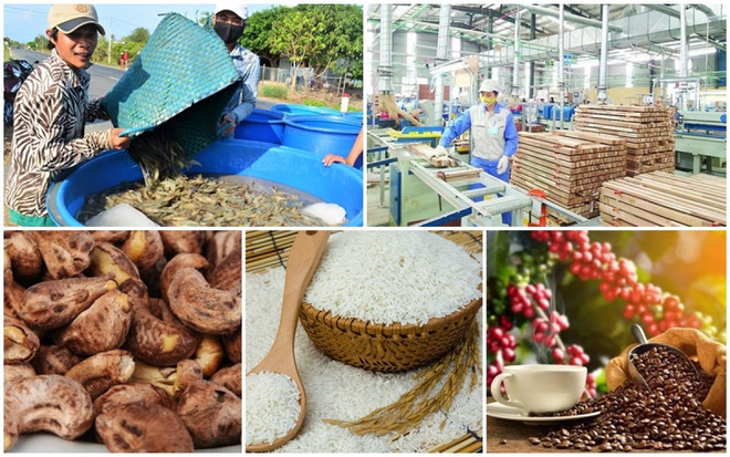 Government support helps aquaculture industry weather difficulties ảnh 2 Government support helps aquaculture industry weather difficulties ảnh 2