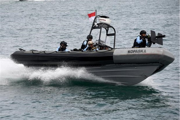 ASEAN to hold joint military drills ảnh 1